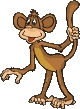 monkey animated gif.